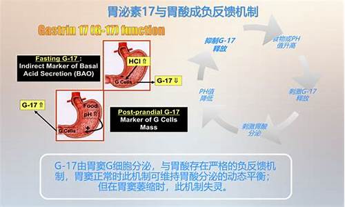 燃油添加剂g17a作用_g17汽油添加剂售价